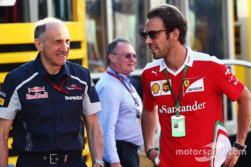 Horner, Toro Rosso'nun Vergne'e olan ilgisini doğruladı