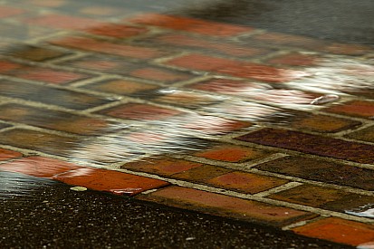 Brickyard 400 postponed after weekend washout at IMS