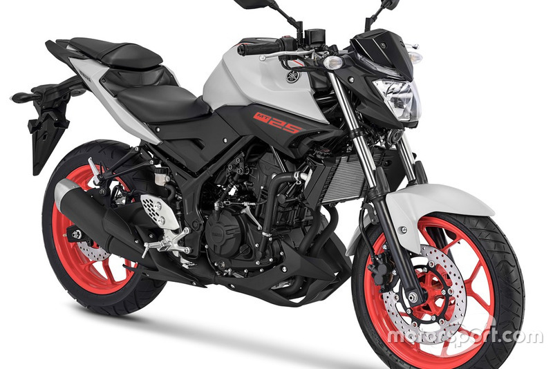 Yamaha MT-25 Matte Grey