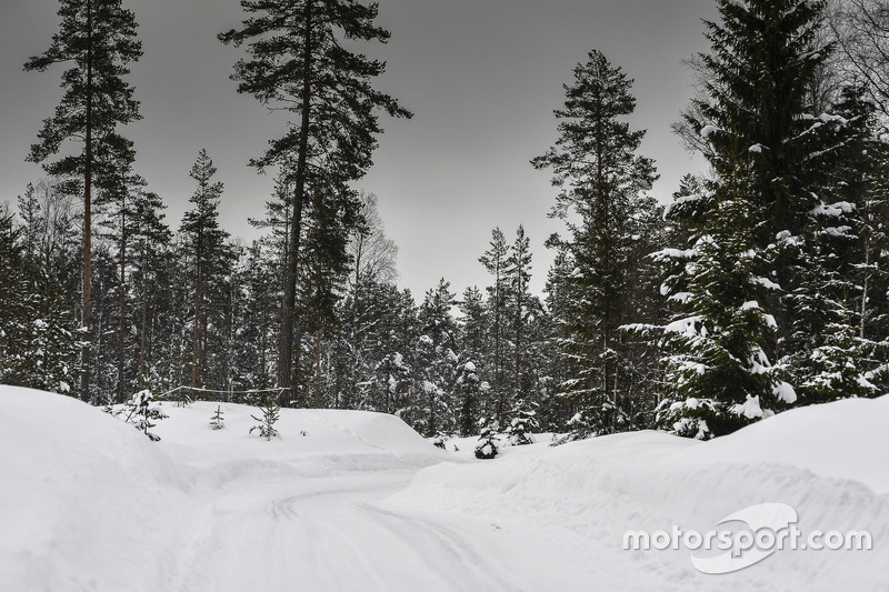 Rally di Svezia, atmosfera