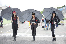 Grid girls
