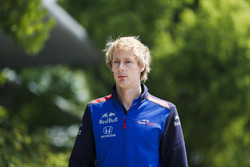 Брендон Хартлі, Toro Rosso
