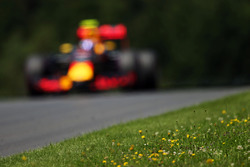 Max Verstappen, Red Bull Racing RB12