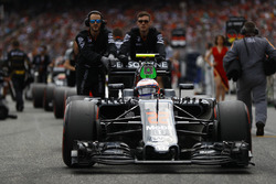 Jenson Button, McLaren MP4-31, op de grid