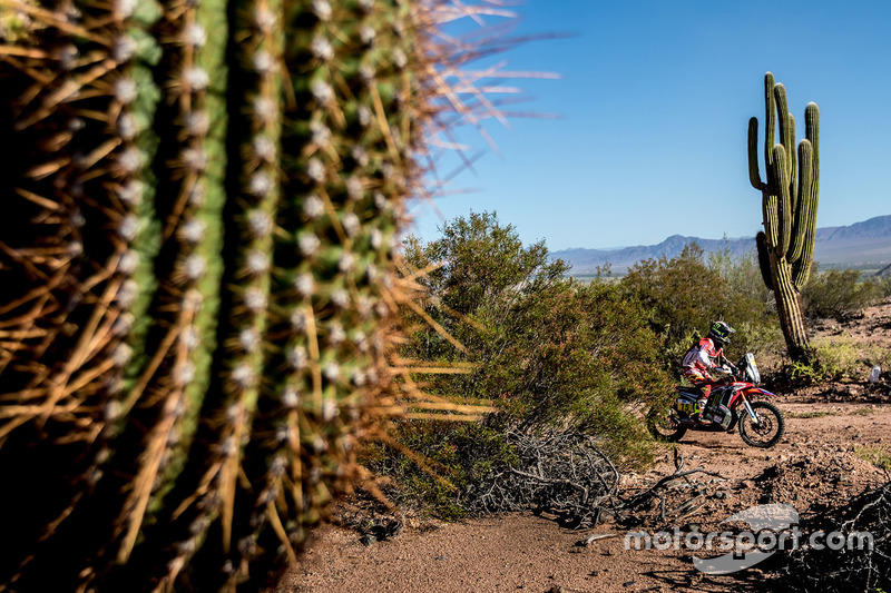 6. #15 Monster Energy Honda Team: Michael Metge
