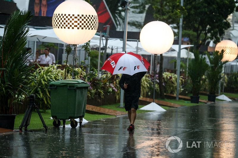 Wet Paddock