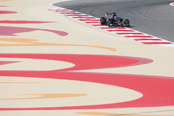 Max Verstappen, Scuderia Toro Rosso STR11