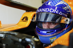 Fernando Alonso, McLaren, nell'abitacolo della sua monoposto