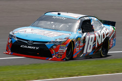 Kyle Busch, Joe Gibbs Racing, Toyota