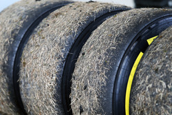 Зношені шини Pirelli, вкриті травою
