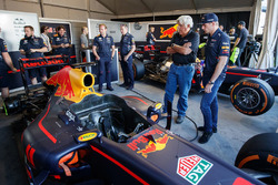 Max Verstappen, Red Bull Racing