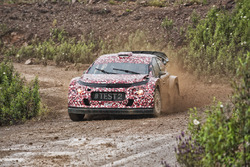 Кріс Мік за кермом Citroën C3 WRC 2017