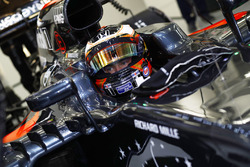 Stoffel Vandoorne, McLaren MP4-31