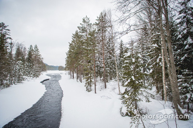 Rally di Svezia, atmosfera
