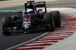 Фернандо Алонсо, McLaren MP4-31