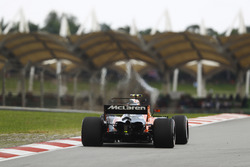 Stoffel Vandoorne, McLaren MCL32