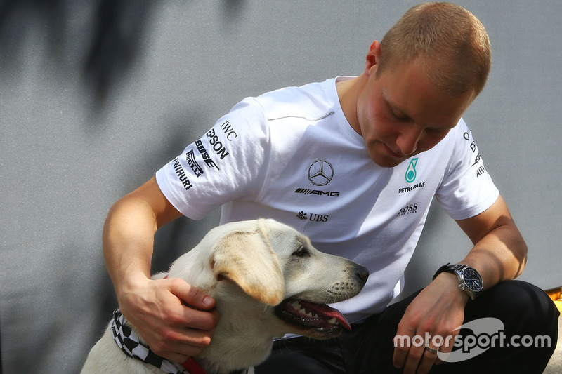 Валттері Боттас, Mercedes AMG F1 із собакою