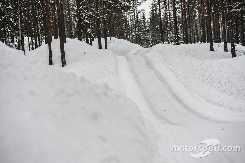 Rally di Svezia, atmosfera