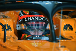 Stoffel Vandoorne, McLaren MCL33