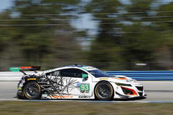 #93 Michael Shank Racing, Acura NSX: Andy Lally, Katherine Legge, Mark Wilkins
