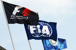 Vlaggen F1 en FIA