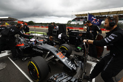 Jenson Button, McLaren MP4-31
