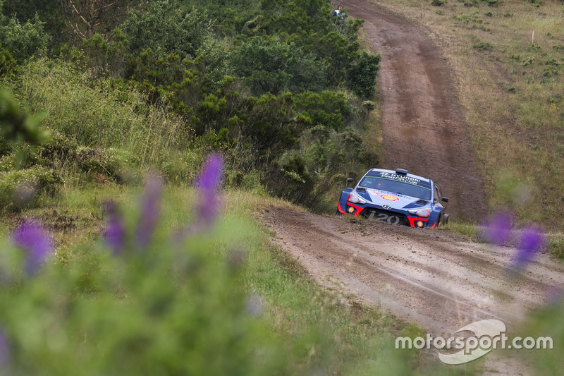Thierry Neuville, Nicolas Gilsoul, Hyundai Motorsport Hyundai i20 Coupe WRC