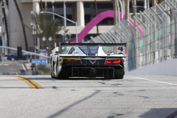#5 Action Express Racing Corvette DP: Joao Barbosa, Christian Fittipaldi