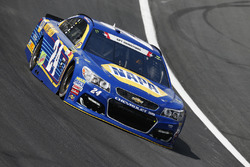 Chase Elliott, Hendrick Motorsports, Chevrolet