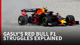 Analyse: Waar loopt het mis voor Gasly bij Red Bull?
