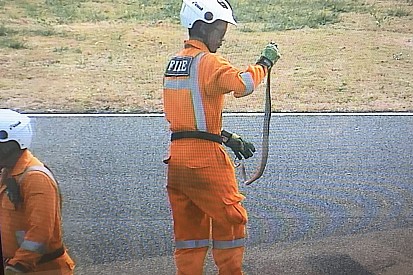Во время тестов MotoGP в Таиланде на трассу выползла змея