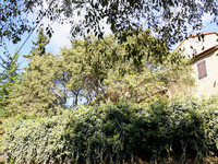 Loeb on track to conquer Tour de Corse Loeb on track to conquer Tour de Corse