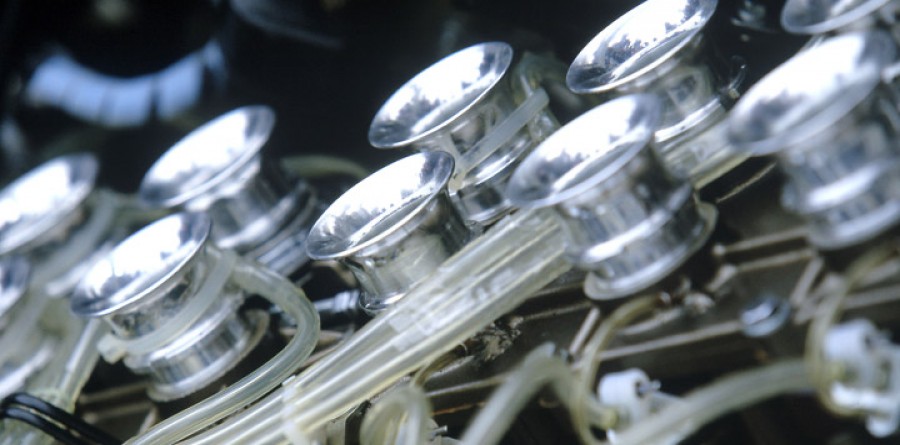 Engine makers not backing Ecclestone's 2013 opposition Engine makers not backing Ecclestone's 2013 opposition