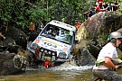 Jungle Slayer in Malaysian Rainforest Challenge Jungle Slayer in Malaysian Rainforest Challenge