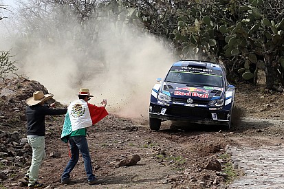 Video: Ogier ontwijkt overstekende koeien maar net