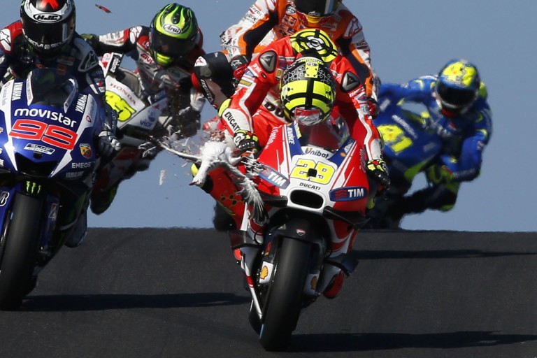 A MotoGP-nek is megvannak a maga sirályai!
