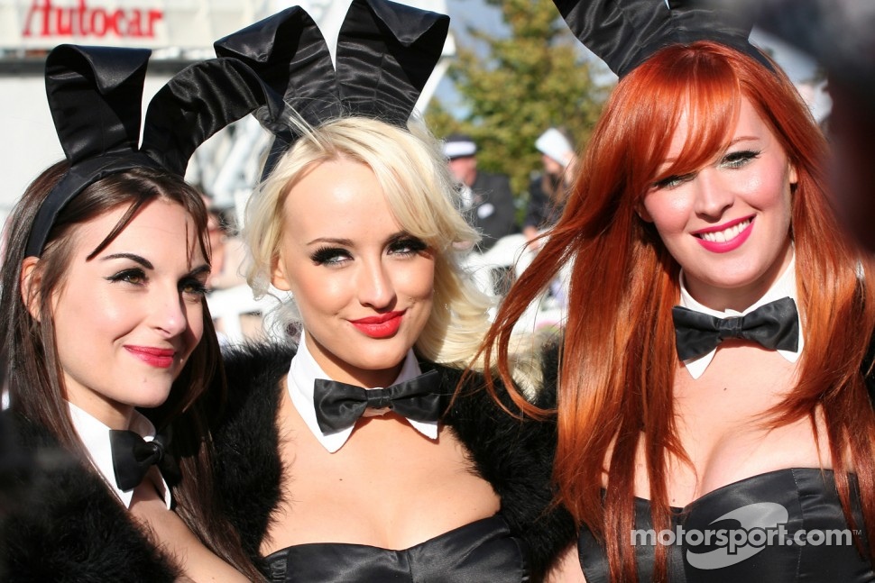 The bunnies