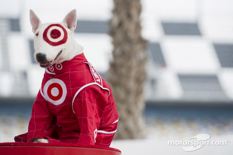 The Target dog, Spot NASCAR SPRINT CUP photos Main gallery