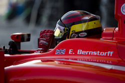 Emil Bernstorff, Arden International