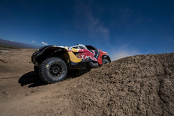 #314 Peugeot: Sébastien Loeb, Daniel Elena