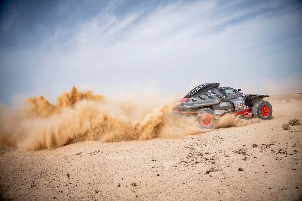 #207 Team Audi Sport Audi: Carlos Sainz Sr, Lucas Cruz