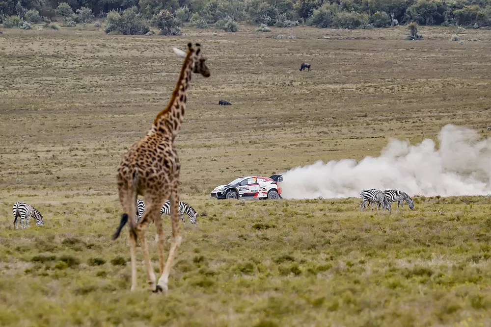 Kalle Rovanpera, Jonne Halttunen, Toyota Gazoo Racing WRT Toyota GR Yaris Rally1