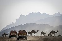 Dakar 2020: nueva filosofía, 8.000 km y navegación extrema