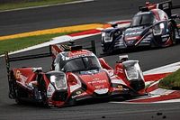 Pracowity trening Kubicy