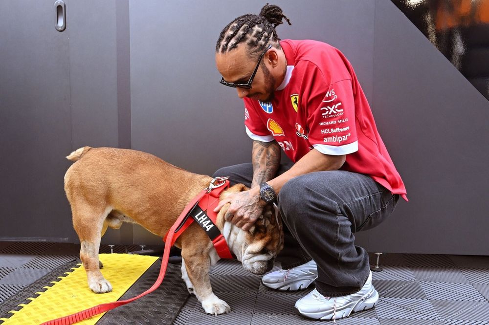 "Horas assustadoras": Hamilton se preocupa com a saúde de Roscoe