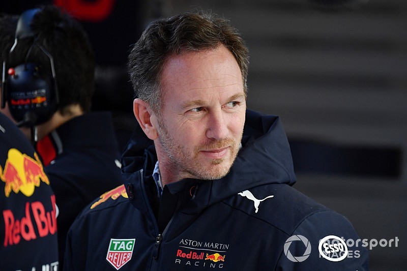 Horner over jong Red Bull-duo: