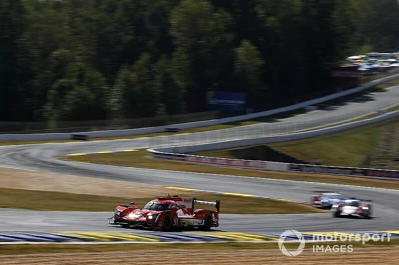 #31 Action Express Racing Cadillac DPi: Felipe Nasr, Eric Curran, Pipo Derani