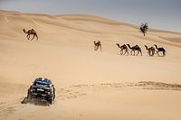 Sunderland y los Peterhansel se lucen en el Abu Dhabi Desert Challenge