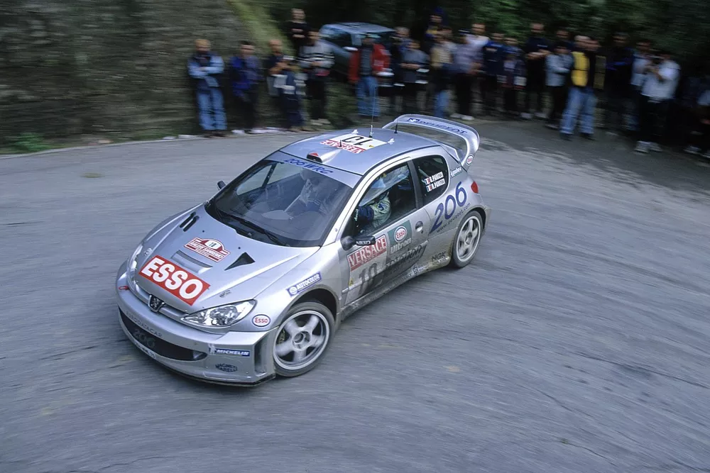 Gilles Panizzi/Herve Panizzi (Peugeot 206 WRC)
