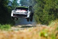 Pajari szybki o poranku